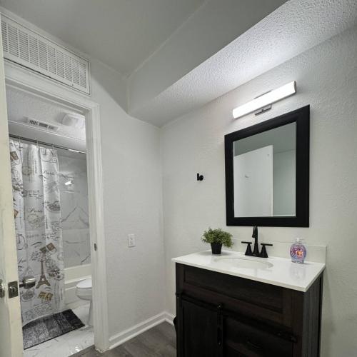een badkamer met een wastafel en een spiegel en een douche bij 3BD DT Dallas l FIFA WORLD CUP READY l 5 Min from Love Field in Dallas