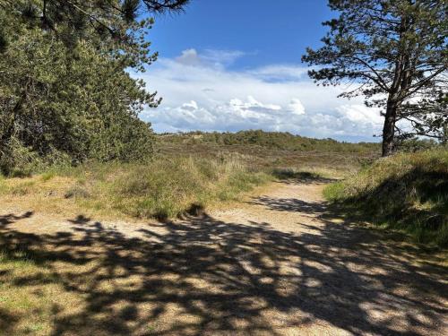 a dirt road in the middle of a field with trees at 8 person holiday home in Rømø-By Traum in Kongsmark