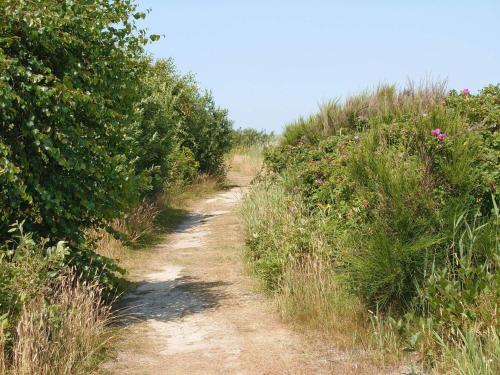 a dirt path in a field with bushes and flowers at Cozy Beach Cottage - By Traum Ferienwohnungen in Fjand Gårde