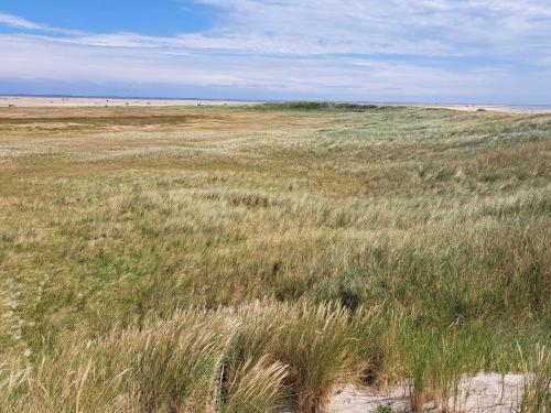 Příroda nedaleko prázdninového domu