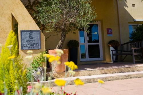 Fotografie z fotogalerie ubytování Hotel Cesario v destinaci Calvi