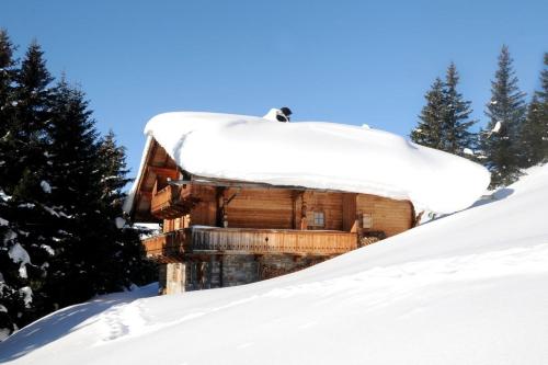 a cabin covered in snow on a snow covered slope at Brandstatt Alm in Grossdornau