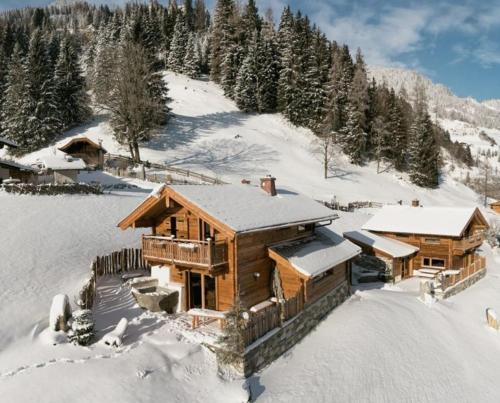 a log cabin in the snow with trees at Chalet Almrausch in Unterberg