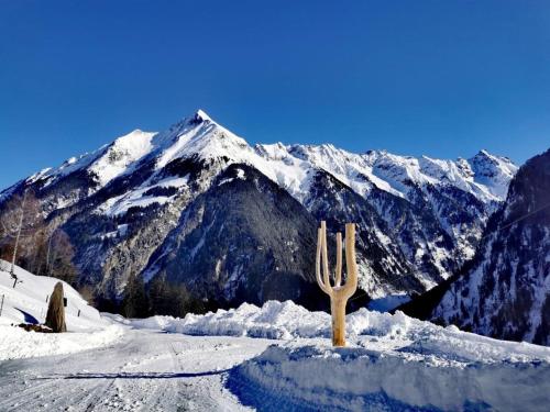 a cactus in the snow in front of a mountain at Alpennestl in Ginzling