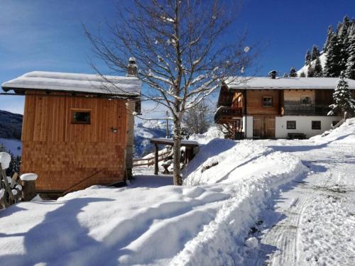 a wooden cabin in the snow with a tree at Achtchalet in Grossarl