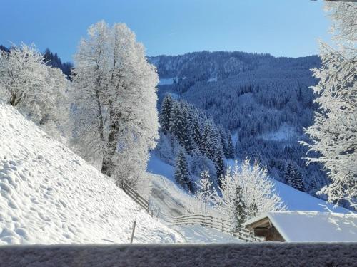 a snow covered hill with a house and trees at Schlickhütte in Schied