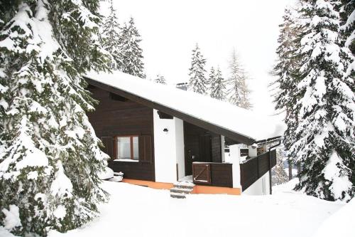 a cabin in the snow with snow covered trees at Alpine-Lodges Petra in Hintersauerwald