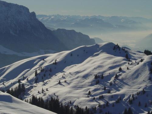 a snow covered mountain with trees on top of it at Lockner Hütte in Schwaigs
