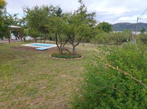 a yard with a tree and a swimming pool at Casa WIWI in La Estancia