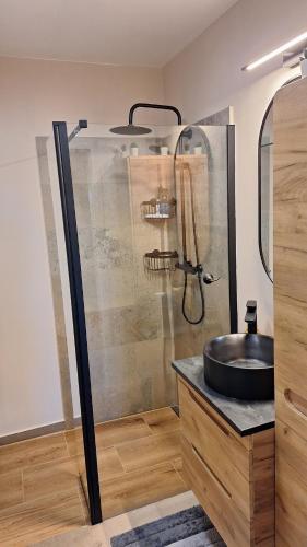 a bathroom with a sink and a shower at Roana apartment in Nałęczów