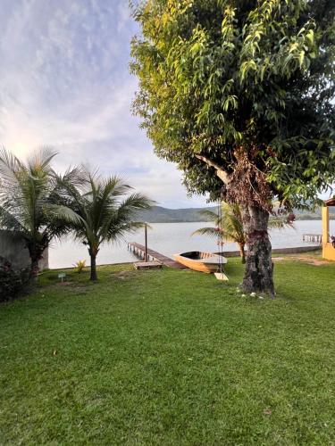 a tree in the grass next to a body of water at Casa Vidão da Lagoa in Maricá
