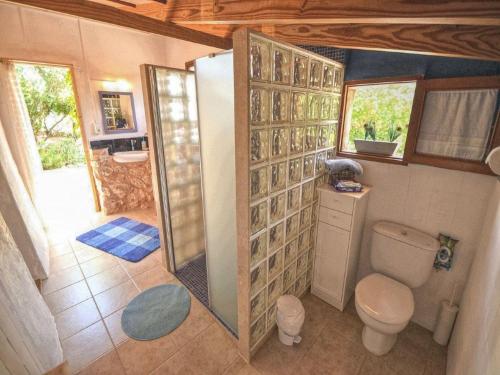 Un pequeño baño con inodoro y ducha. en Holiday Home in LLevant with private pool, en Maria de la Salut