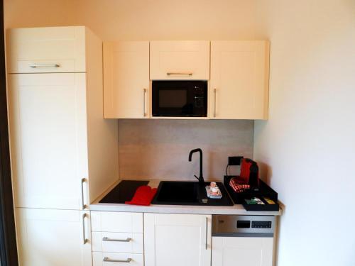 Η κουζίνα ή μικρή κουζίνα στο Dog-friendly holiday apartment in Bregenzerwald