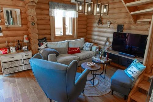 een woonkamer met een bank en een tv bij Holiday house with a parking space Belo Selo, Gorski kotar - 24979 in Donja Slavica