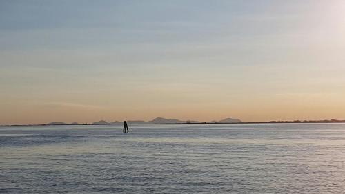 a person standing in the middle of the water at Hotel Villa Orio & Beatrice in Venice-Lido