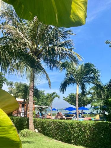 un groupe de palmiers dans un parc dans l'établissement Sanae Beach Hua Hin, à Khao Tao