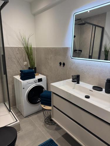 a bathroom with a washing machine and a sink at Schöne Aussicht - charmante Ferienwohnung mit Pool und Sauna in Bad Harzburg in Bad Harzburg