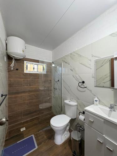 een badkamer met toilet, douche en wastafel bij Complejo San San Apto 201 in San Luis