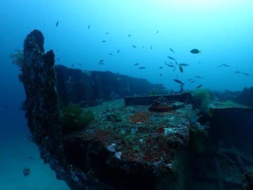 Φυσικό τοπίο κοντά σε αυτό το ξενοδοχείο
