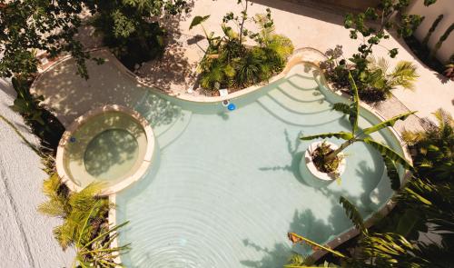 una vista sul tetto di una piscina con piante di Casa Wayra Tulum a Tulum