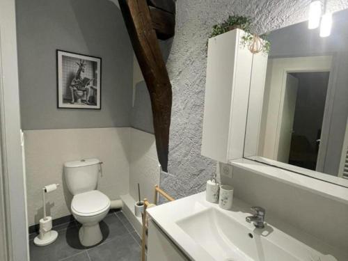 a bathroom with a white toilet and a sink at Gîte de charme avec parking, animaux admis, proche de Tours - FR-1-381-638 in La Riche