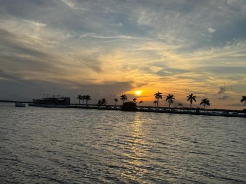 a sunset over a body of water with palm trees at Casa Bonsai in Chetumal