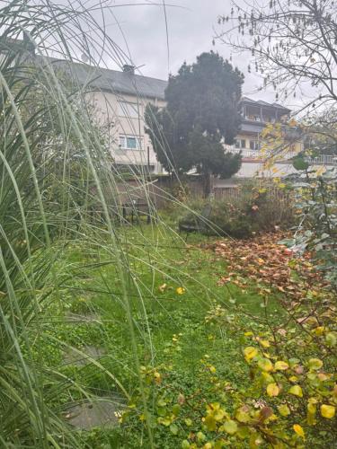 a garden with grass and flowers in front of a building at Geni Apartments in Traben-Trarbach
