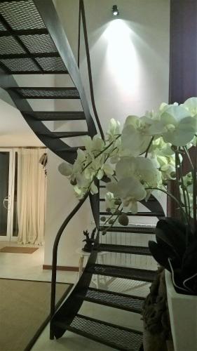 a vase with white flowers in a room at Alto Belo in Felgueiras