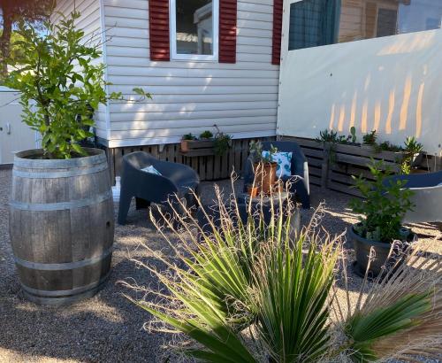 Zahrada ubytování CANET Mobil Home "La Sardine"