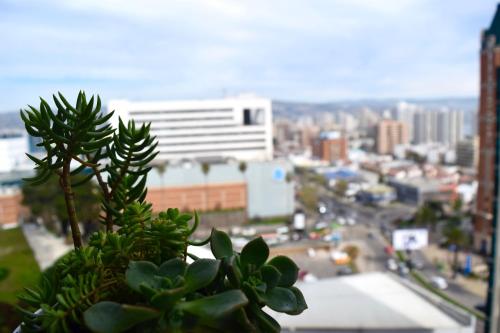 a view of a city with a plant in the foreground at Departamentos Alto Libertad in Viña del Mar