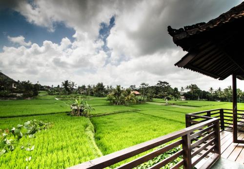 Κήπος έξω από το Villa Kami Ubud