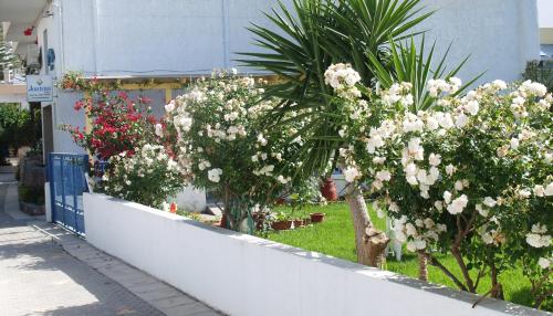 Κήπος έξω από το Joanna Apartments 