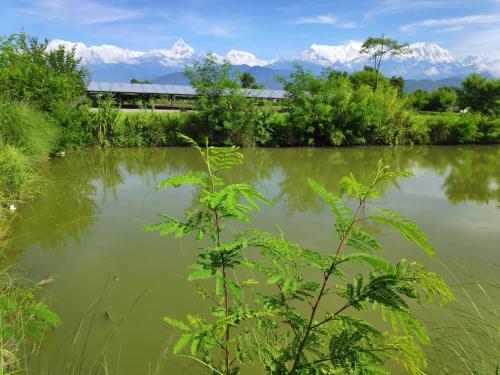 Bhoomi Organics Farmstay