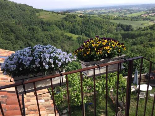 two pots of flowers sitting on a balcony at B&B Monferrato La Casa Sui Tetti in Murisengo