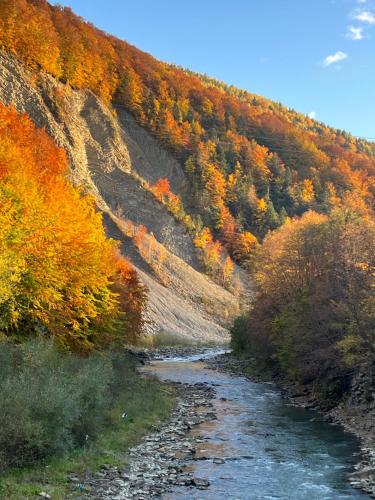 Příroda nedaleko prázdninového domu