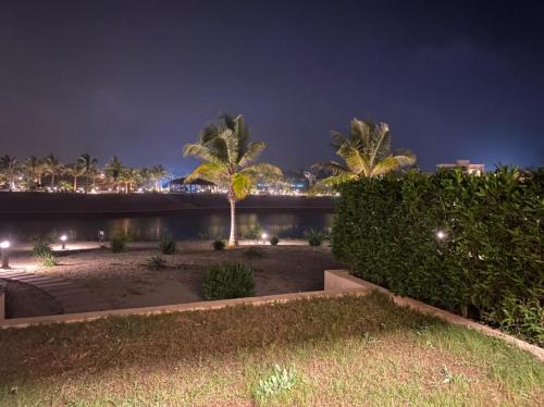 a park with palm trees and a river at night at Hawana Salalah Tourism in Ma‘mūrah