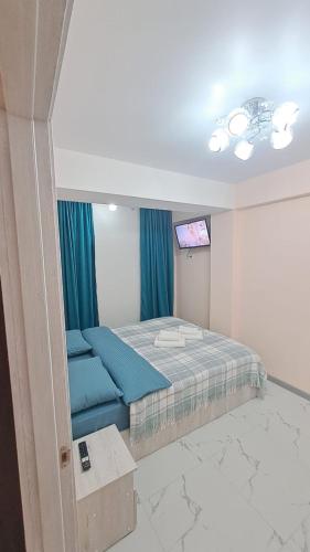 キシナウにあるБотаника .のベッドとテレビのある寝室