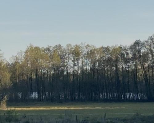 Natuurlandschap vlak bij het vakantiehuis
