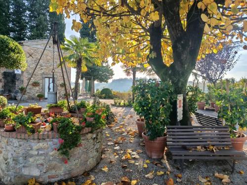 Il Casale Del Cotone