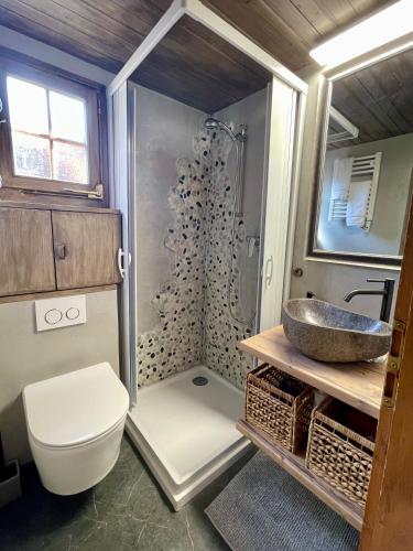 a bathroom with a shower and a toilet and a sink at Gstaad Chalet in Gstaad