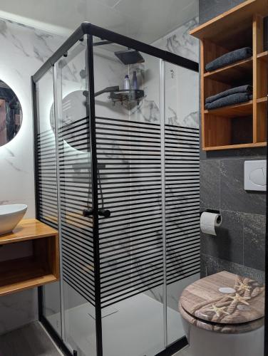a bathroom with a glass shower with a toilet at Het Zwanenest in Harlingen