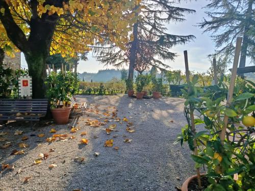Il Casale Del Cotone