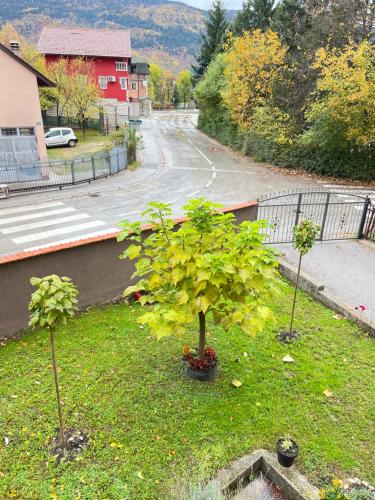 Příroda nedaleko penzionu