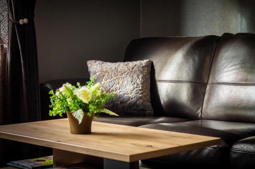 a brown leather couch with a coffee table with a plant at Pasaku apartaments in Cēsis