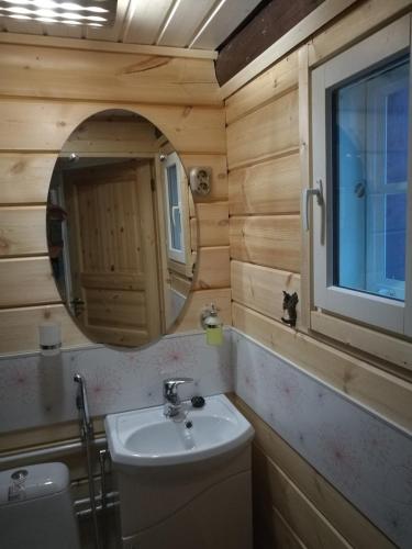 a bathroom with a toilet and a sink and a mirror at Lakeside cabin, Lake Saimaa in Savitaipale