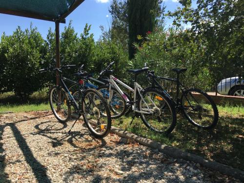 Jízda na kole v ubytování Agriturismi Farina nebo okolí