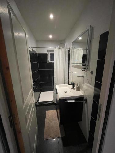 a small bathroom with a sink and a shower at Cozy house with garden in Mulhouse