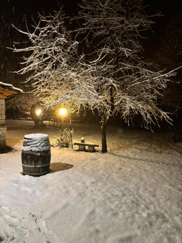 a snow covered park with a tree and a bench at Il Seccatoio in Riolunato