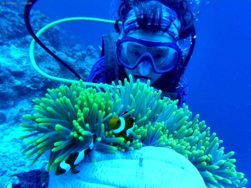 Hosté ubytování Hoga Island Dive Resort