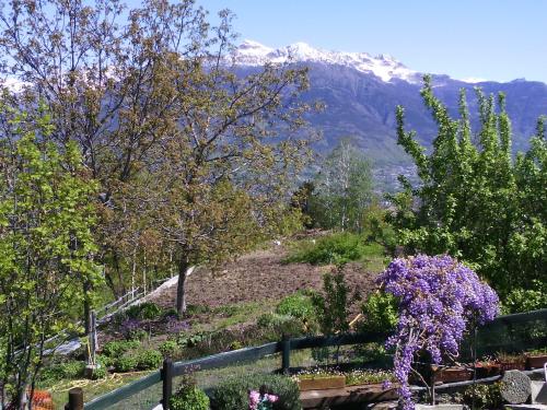 a garden with purple flowers and a mountain in the background at Casa Mimosa in Gressan